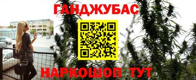 сатива Будённовск