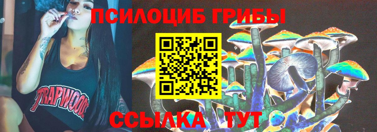 Галлюциногенные грибы мицелий Мурино